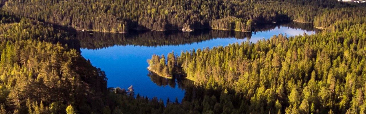 Ramstadsjøen i Rælingen trenger din hjelp!