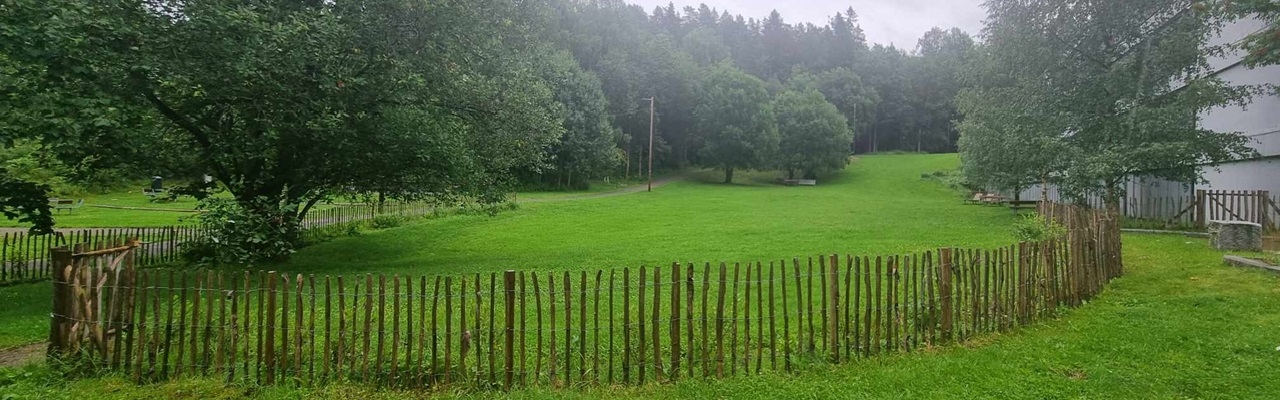 Vi vil ha inngjerdet Hundeparken i Haugerud