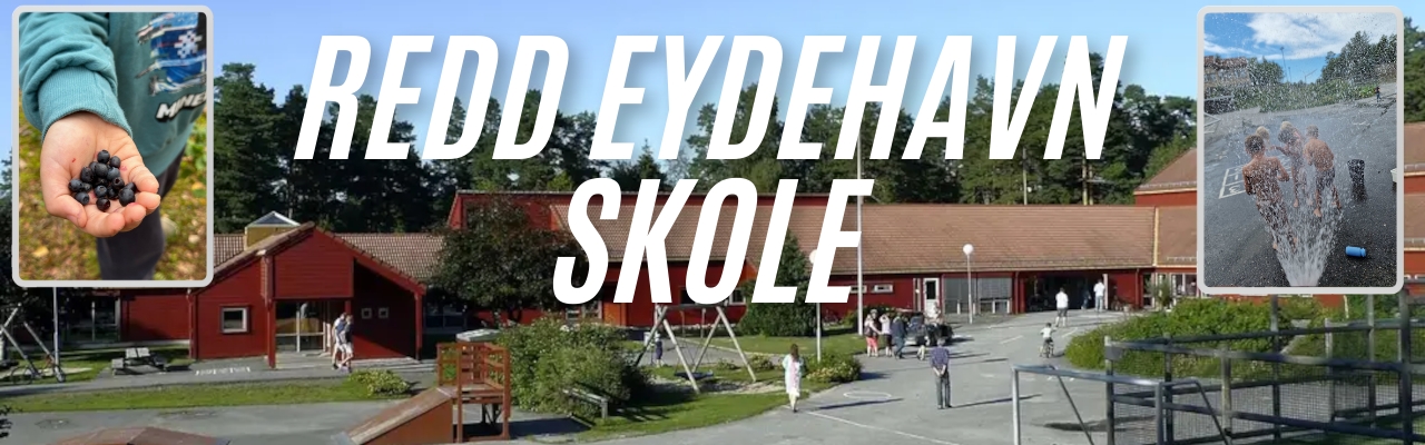 Redd Eydehavn skole