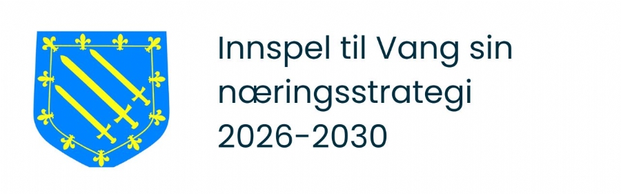 Innspel til Næringsstrategi 2026–2030 – for eit næringsliv som famnar heile Vang