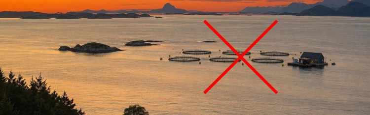 Nei til oppdrettsanlegg i Lyngværfjorden, Sømna!