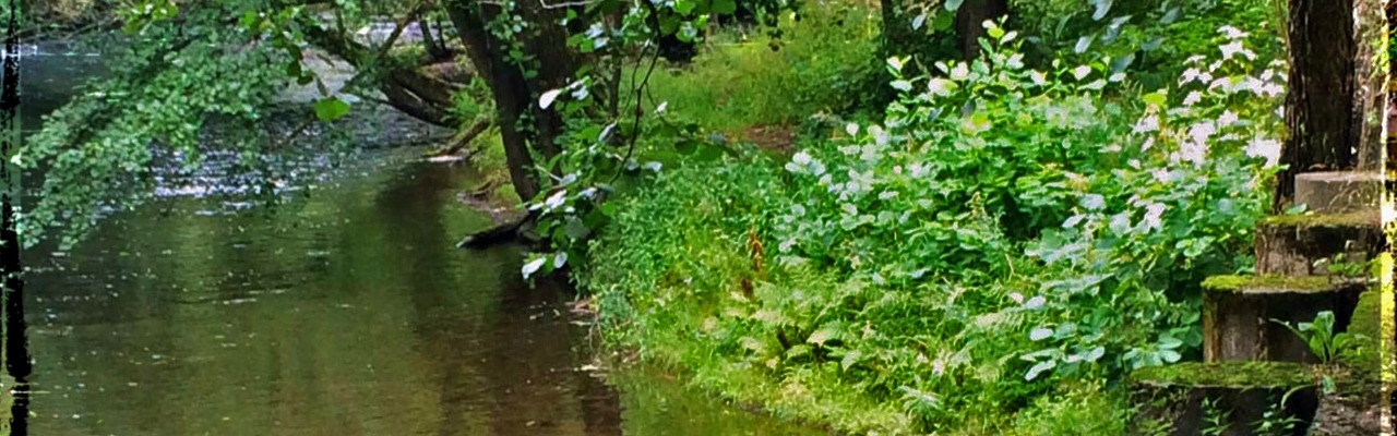 Akerselva som friområde for folket