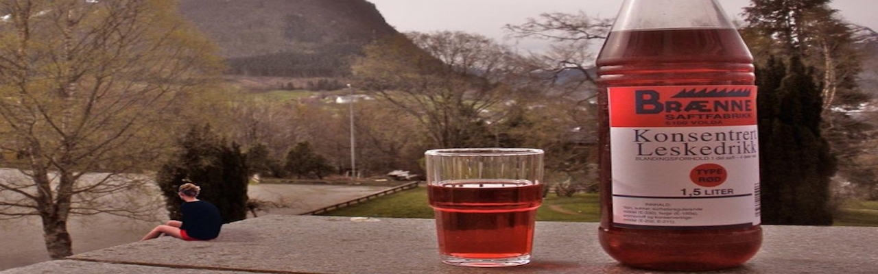 Brænne saft type rød til stavanger