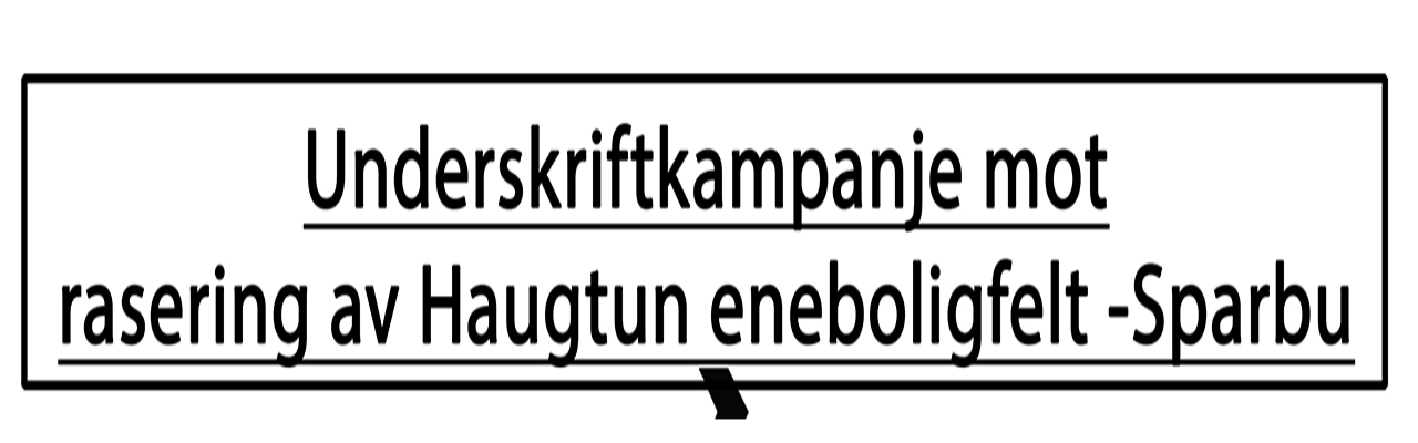 Si NEI til Levanger boligutvikling/Komplett prosjektering, Verdal og Steinkjer kommune planer om rasering av Sparbu Grendesenter.