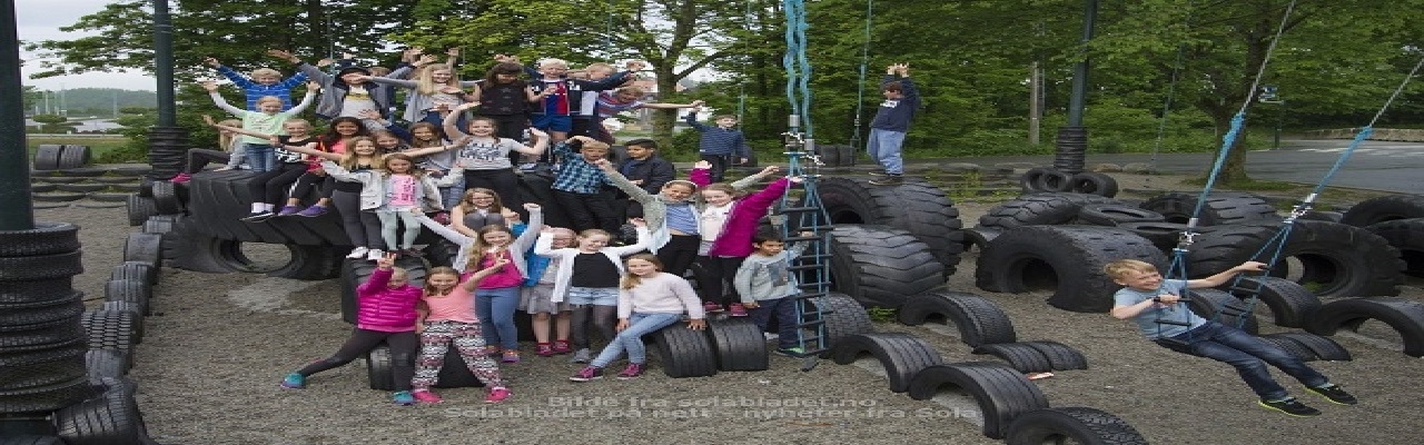 Redd dekkjungelen