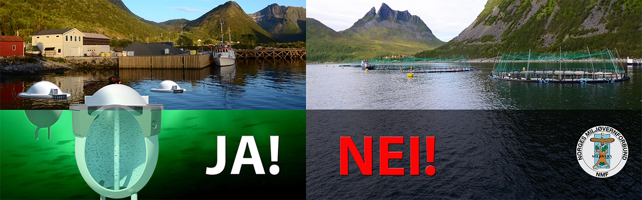 Stopp ødeleggelsen av fjordene våre! Lukkede oppdrettsanlegg NÅ!