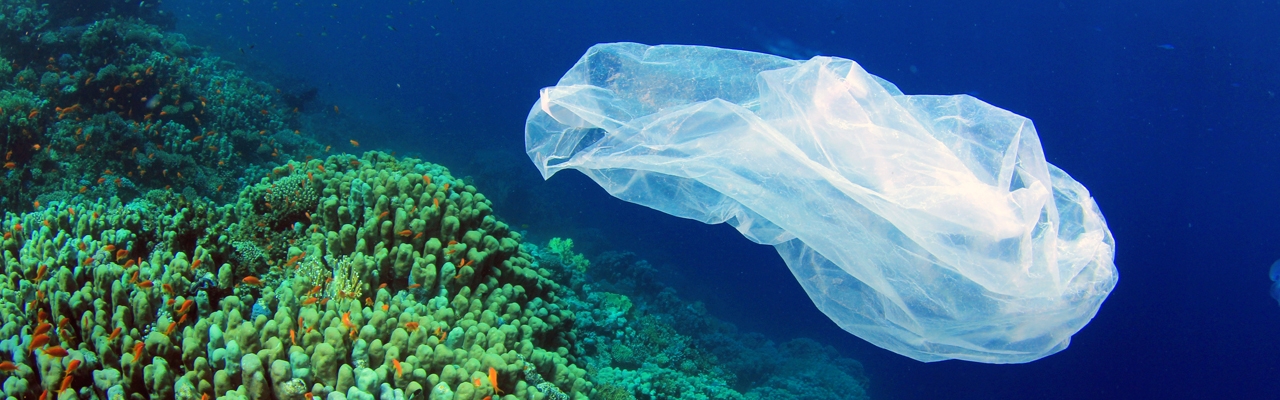 Start rydding av plastsøppel i verdenshavene nå!