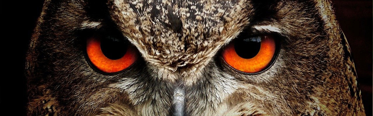 Ja til å drepe Adam